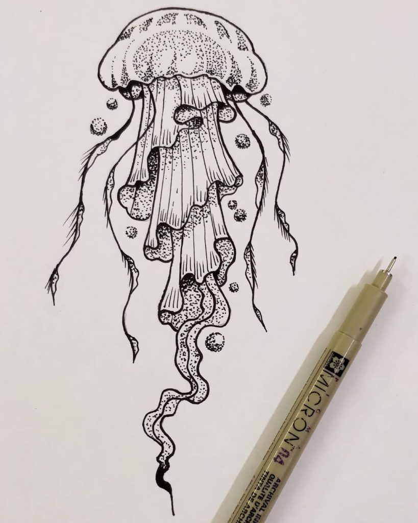 jelly fish drawing